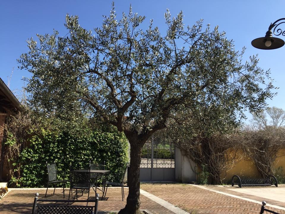 Agriturismo Macchiacupa Ξενοδοχείο Ariano Irpino Εξωτερικό φωτογραφία